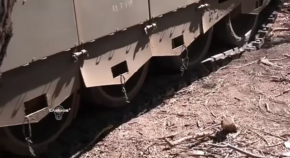 ��������� �������: �������� ���������. �������. ���� ���, ���������