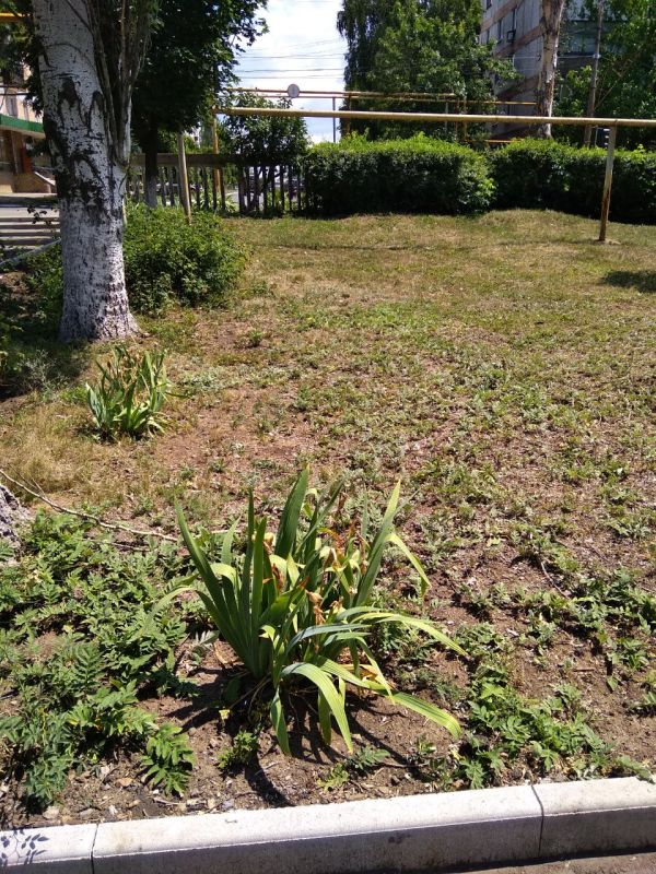 ������� �������: �� ��������� ����� �������� �������� ���������� - ������ �������� ��� "���������������" � ��� " ��������������� " ��������� ������ �� ������ ������ � ����������� ���� �� ���������� ����������� � �������� ���������� �����