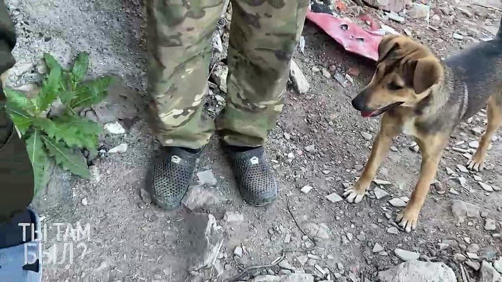 Павел Кукушкин: Мурка. Страж на позиции Интербригады «Пятнашка» под Часов Яром