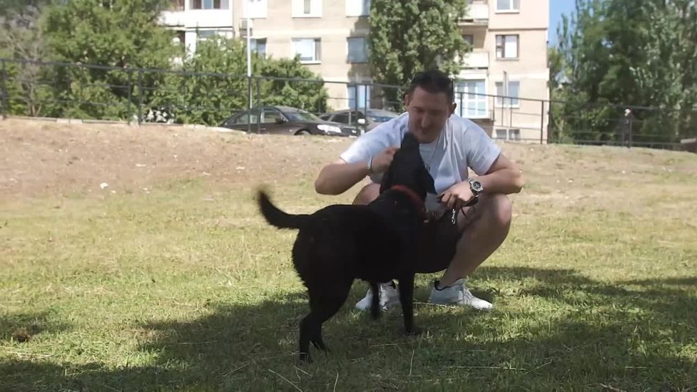 ����� �������: � ���� ��������!. @PushilinDenis