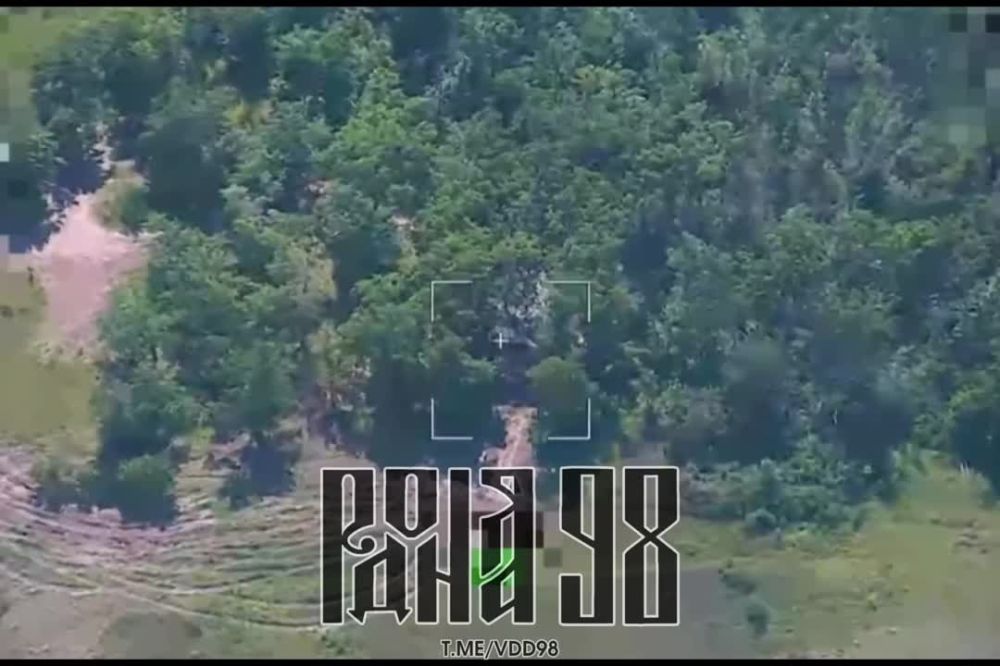 ����� �����: ����������� ��� �����, �������� ����� ���