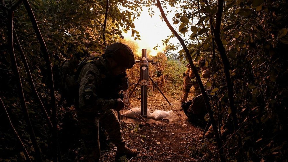 ������� ������������ �� ������� 1 ���� 2024: ������ ������-����������