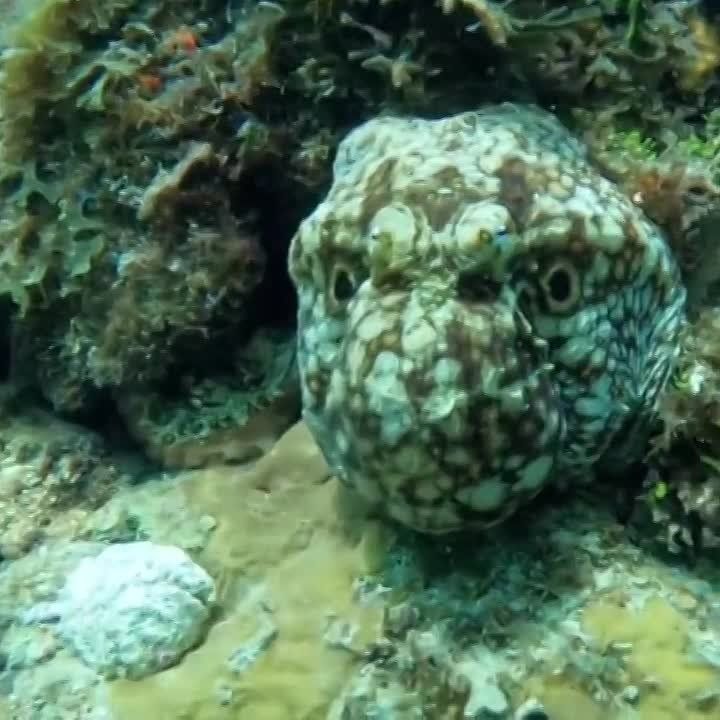 �������� ������������ ������� � ������� �����