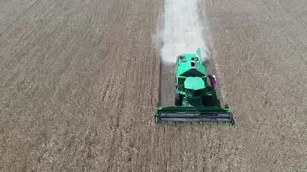 ����� ����������: ����� �� ������ - 2024!