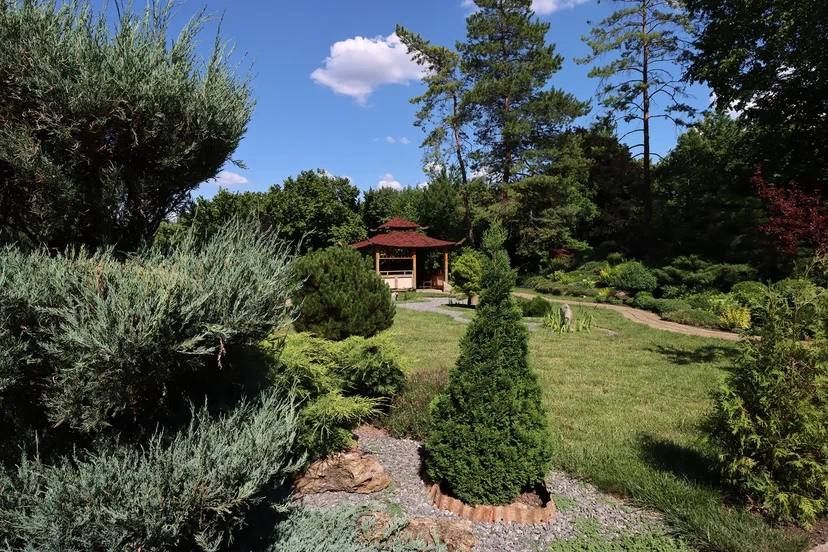 ������� �������: ������������ �����.. ������ ������ � �������� ������������ ����. ���� ��� �� ����, ����������� ������������ �� ������� ��������