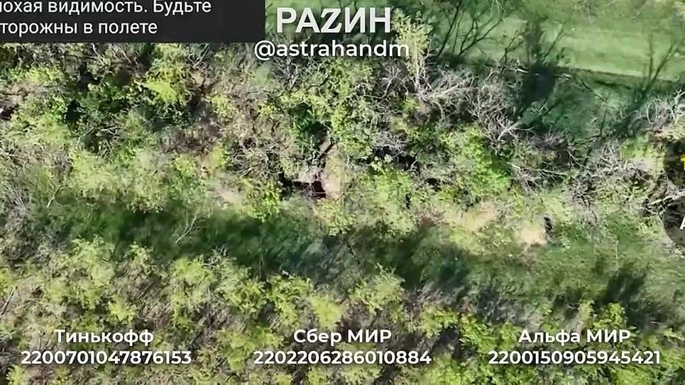 ������� ���������: ������, �� ���������� ���������� ���� ������� � ���������� ������� � ��������� ����������� 110 ������� �� ��, ������� ������ ������ ����� �� ����������� �����������