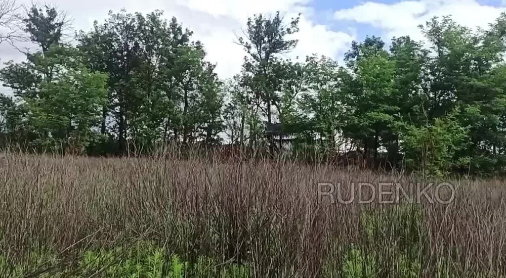 ������ �������: ������� ��� �������� ����������� ����� ������� ���������� ������� ������, ������� ������� � ���������� ������� ��� �� ����-�������� ����������� ����������� ������� ��������