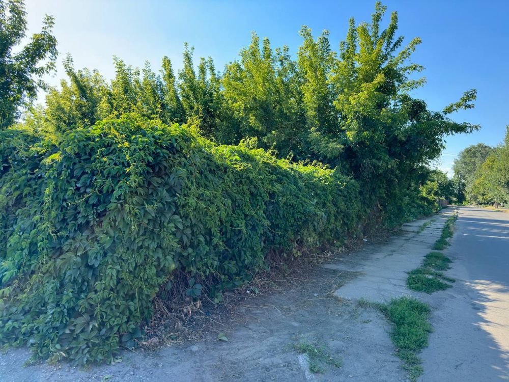 ����� �����: �� ��������� ����� �������� �������� ���������� - ������ ������������� �������� � ��������� ������ �������� ������ �� ���� ������������ ������ �� ������� ����������� ������ �������� �� ��. �������