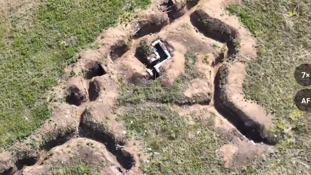 ������� ���������: ���������� ��������� ������������� ��������� ������� ��� � ������ �.�