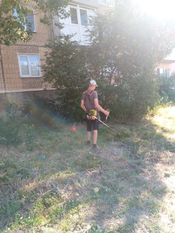 ������� �������: �� ��������� ����� �������� �������� ���������� - ������ �������� ��� "���������������" � ��� " ��������������� " ��������� ������ �� ������ ������ � ����������� ���� �� ���������� �����������: