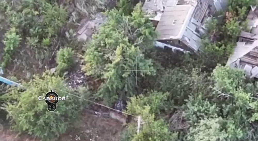 ��������� �������: �������������. ���� �����, ������ �����, ������� �� ����� �������� ����������� �������