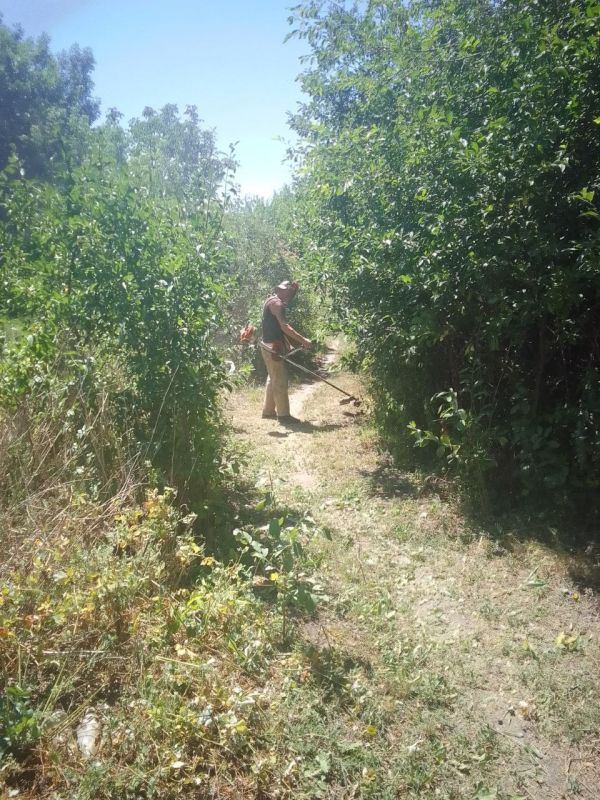 ������ �������: ������ ��� �. ������ �������� ��������� ������ �� ����������� �������, ������ ����������� � ������ ����, ������ ����, ���� ��������� ��������� ���������, � ����� ������� ���