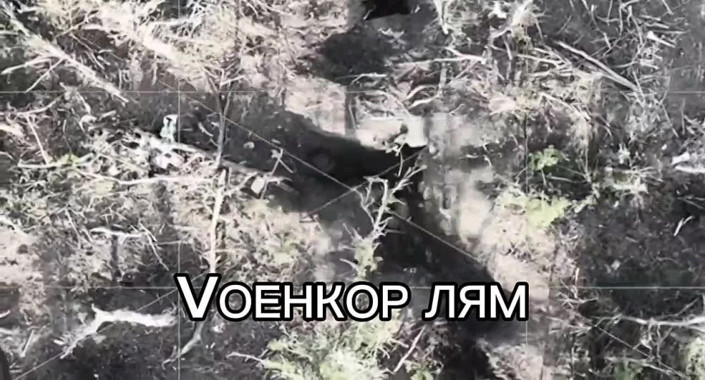 ������ �����: ������ �� ������ ���������� ��������� ������ �� ����������� �����������