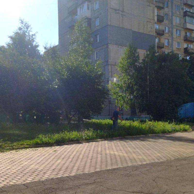 � ��������� ������������ ������ �� ���������������