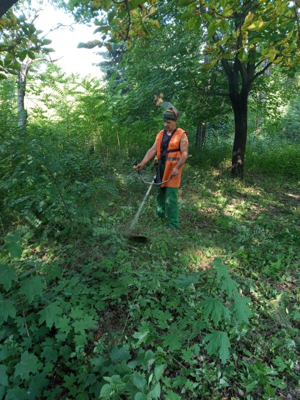 ���� �����������: ������ ������������ ����������� ���� ��������� ������ �� ��������� ������� � ������� �� ���������� �. ������: