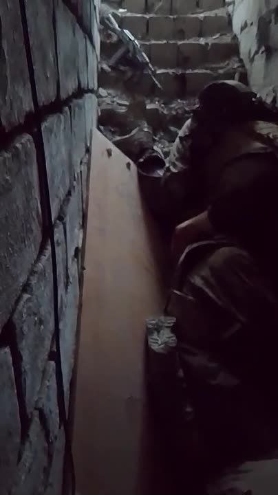 ����� �����: ������������ ������ ������������ � �.�