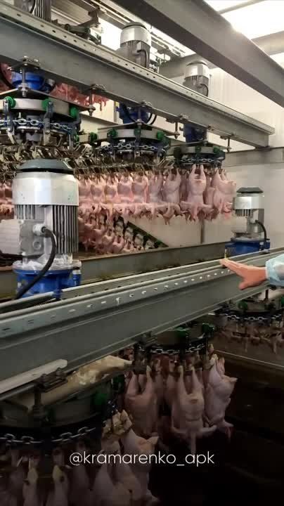 ����� ����������: ���������� ������������ ������ ������� ������������ (������ ���������� ������������) ��������� ������������ �������� ����