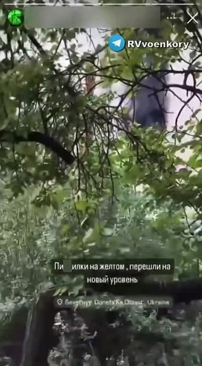 ���� ��������� ����� ������������ ��������� ��� � �������