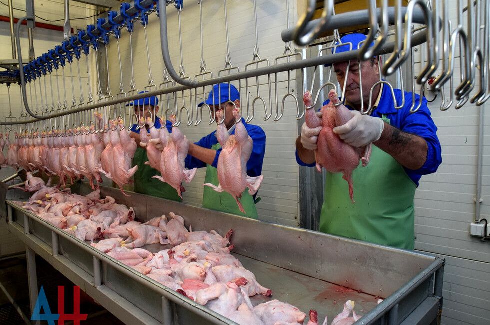 ���������� ������������ ��������� ������������ �������� ����