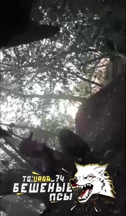 ������ ���������� �������� ����� � ���� �� ���������� �����������