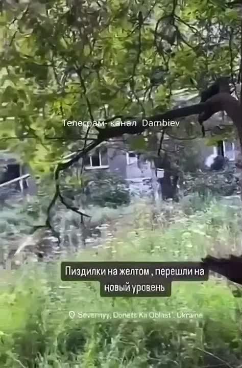 ������ �������: ���������� �� �� ����� ���������� ��� � ������������ �� ������� �������