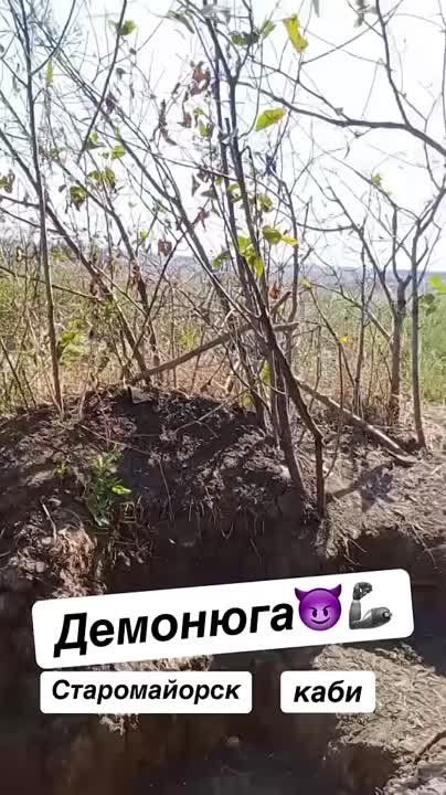 ������ �������: ����� ����� �� ����� ������� ������ ������� ��������� ���-1500 � ������������� ������� ������������ � ��������� (����) �� �������� ���������� ������������ � �.�