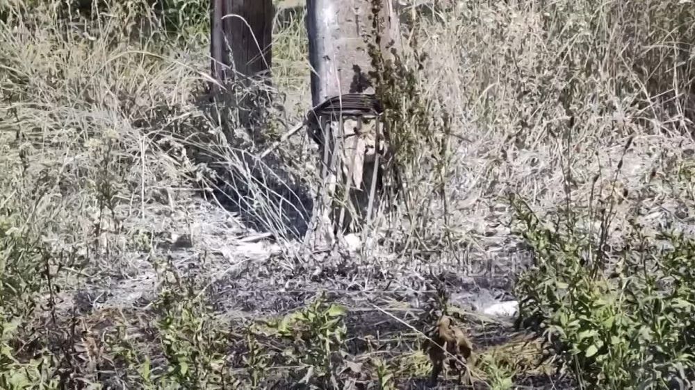 ������ �������: ����������� �������� � �������