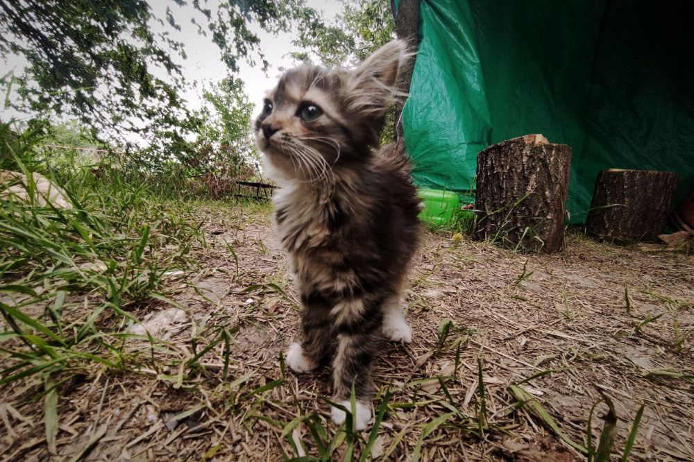 ����� ��������: ����� ��������� ������� �������, ��� �� ���� �� ��������� �� ����������