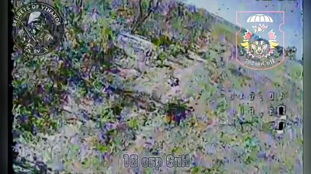 ������ FPV-����� 16 ������� �������� �� 4 ������� �� ��������� �����������
