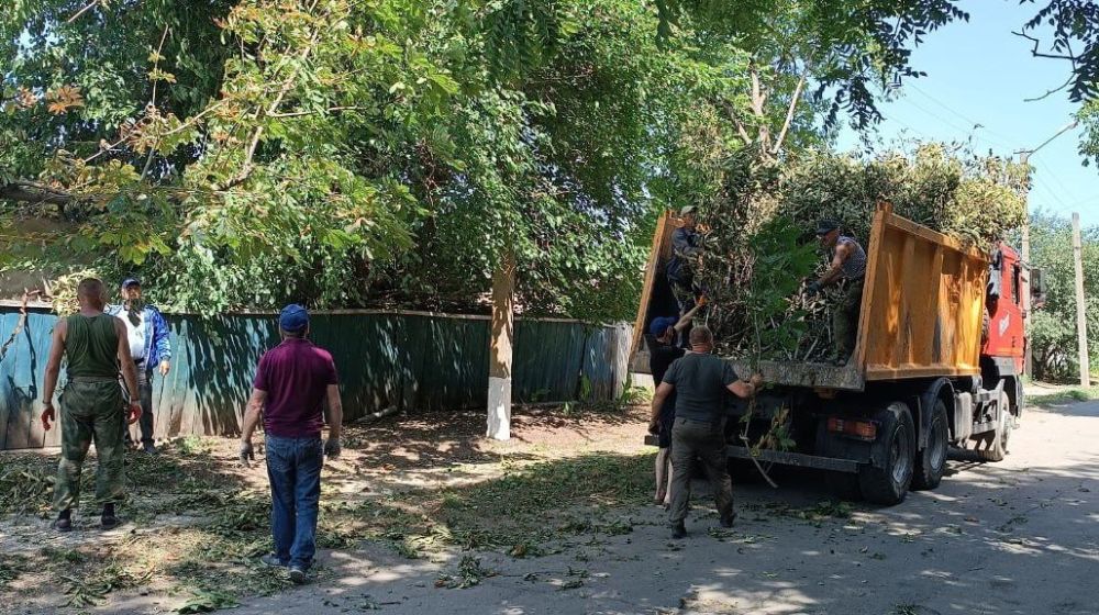 Игорь Лызов: 5 июля активисты партии «Единая Россия» организовали уборку спиленных веток на улицах Амвросиевки
