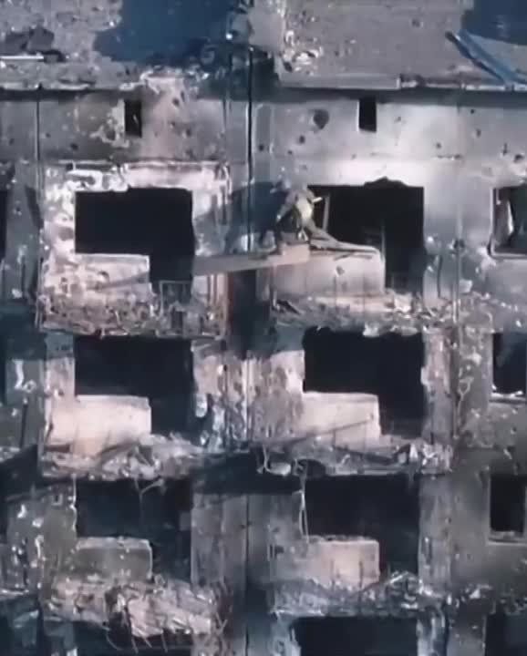 ���� �������: ����� �� � ������� ���� ���� ����� �� ���������� � ������� �������� ���, ���������� �� ������ ���������� ������