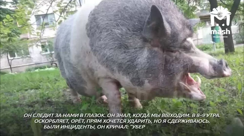 �������� ϸ�� ���� � ������ �������