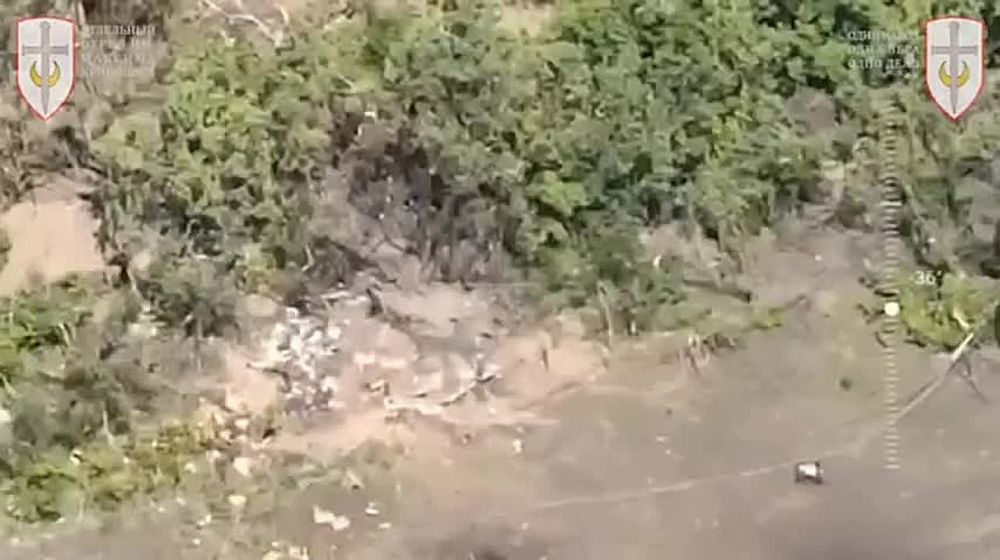 ������ ������ ���������� ������� �� �� ��������� �����-���������, ������������ ���������������� ������ ��-62�, ������ ������� ��� �� ���������� �����������