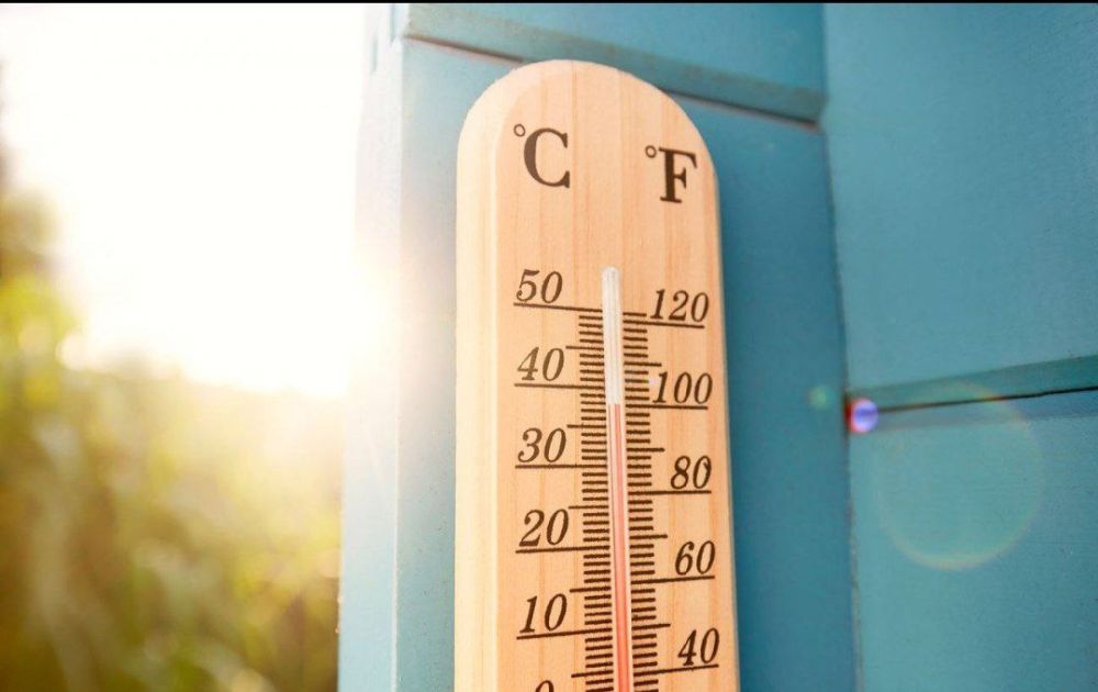 ���� ��������: � ������� 39 �������� � ����