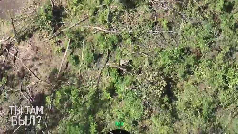 Павел Кукушкин: Поиск и уничтожение личного состава укронацистов в районе Часов Яра!