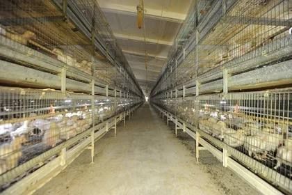 � ������������ ������� ������ ���������������� ������