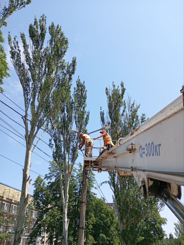 ������ �������: ����������� ������������� ���������� ���������������