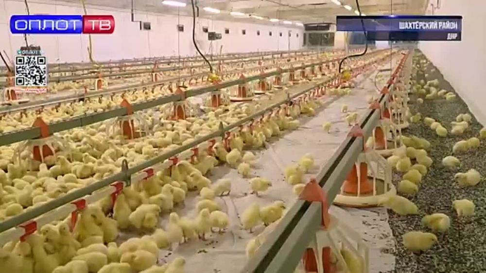 ����� ����������: ������� ������ �������� ��������������� ��������� � �������� ���������