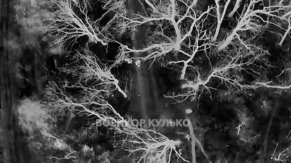 ������� ������: ������ ����� ����� "����������" � ���������