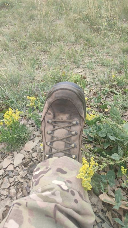 ��������� �������: ������� ����� ��!!. �������� �� �� ������