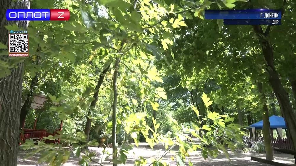 Как в ДНР берегут леса от пожаров?