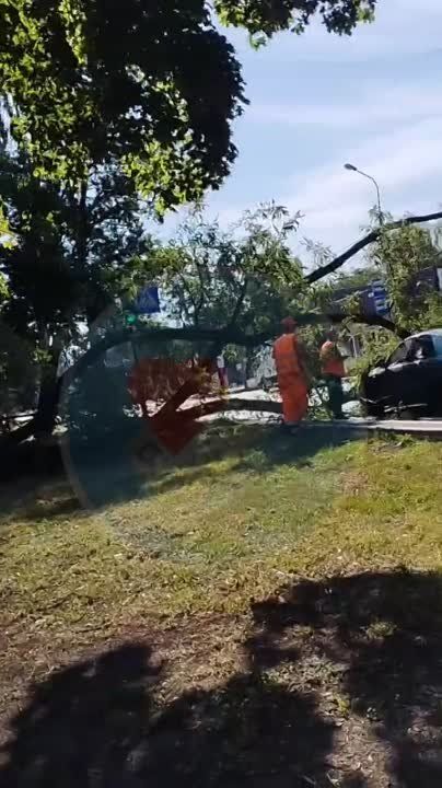 �� ����������:. ���� ��� ������������, ����������, �������, �������� ������ � ����� �� ������, ������� ��� ������. �������� ������, ���������