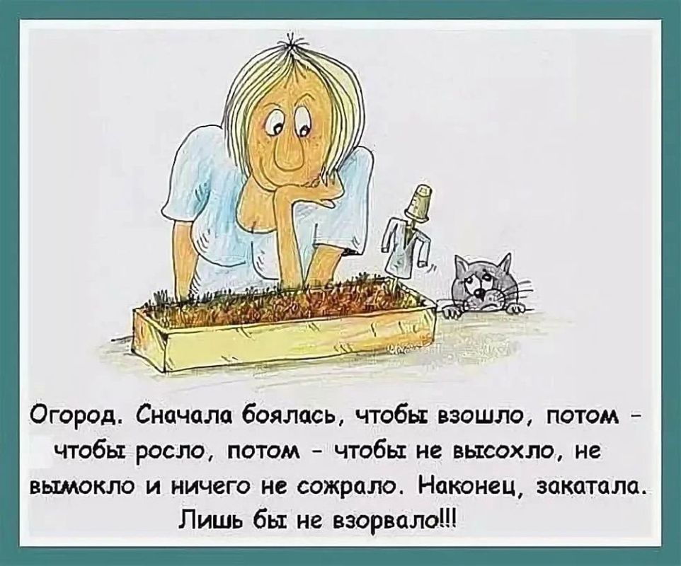 ������� �����. ��������� ���������-24