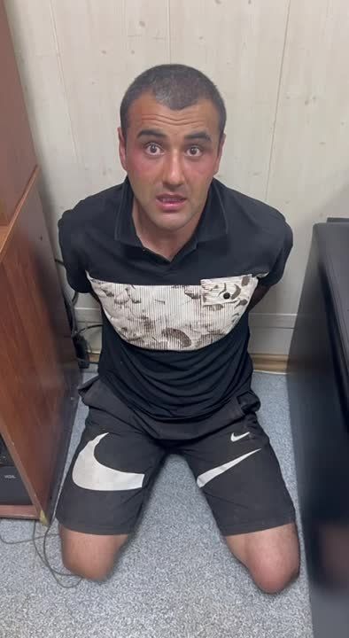 ���� | �������� ���������� | �����ܨ� LIVE ������ ��������� ������� � ���� ���������� ��������� ���� �� ��������LIVE �� ����� ������ � ������� ����� ��� ������� ������� ������ ���������: ����������� ������� ���