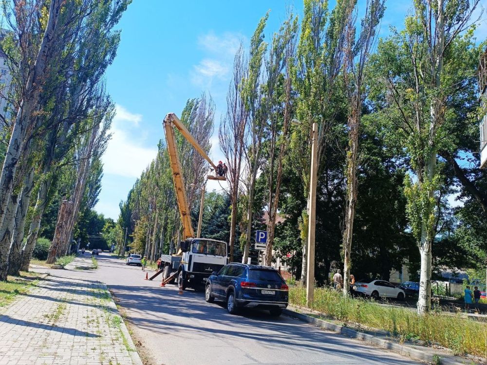 Василий Ткачук: Сегодня силами МУП АГД "ЗЕЛЕНСТРОЙ КАЛИНИНСКОГО РАЙОНА" осуществляется кронирование деревьев вдоль автодороги по улице Лазаренко в Калининском внутригородском районе города Донецка