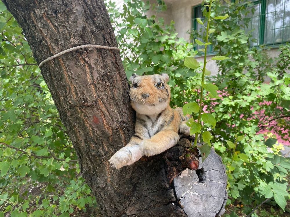 ������� ������: � �������� �������� ���-��