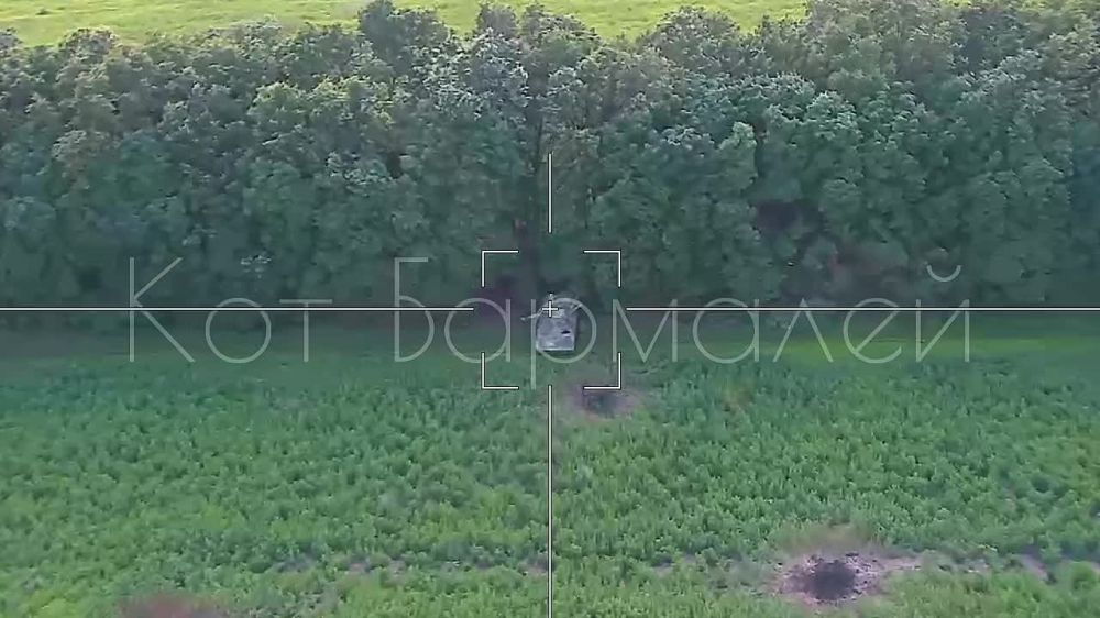 ��������� �������: ����� ���, ��� ����. ���� �������� �� 3-� ������� ��������, ���������� ��������� ���������� �������������� ���������, ������������ ������������