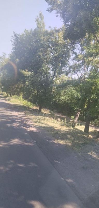 ������� �������: �� ��������� ����� �������� �������� ���������� - ������ �������� ��� "���������������" ��������� ������ �� ������ ������ � ����������� ���� �� ��.����