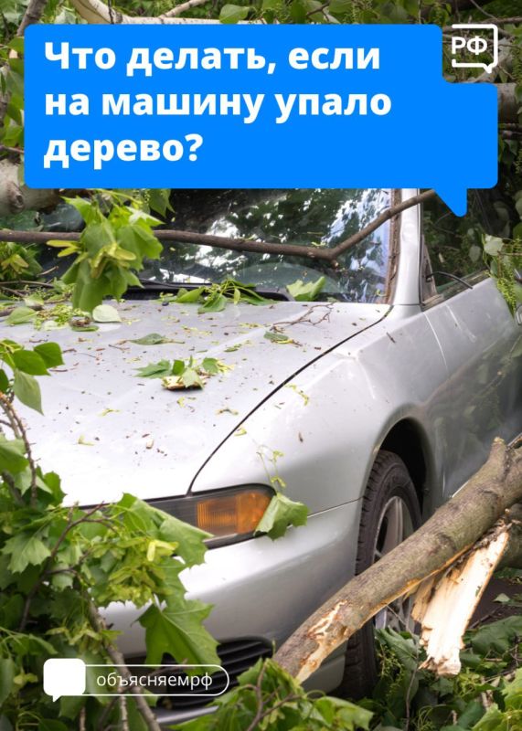 ���� ���������� � ��� �������� �����������, ���� �� ���� ������ ����� ������