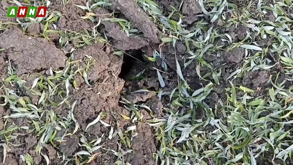 ��� ���������� ����� �������� �� ���� "����"